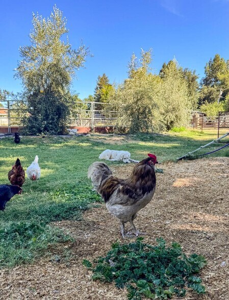 More Photos Of 38364 Wisteria Way, Davis Land For Sale