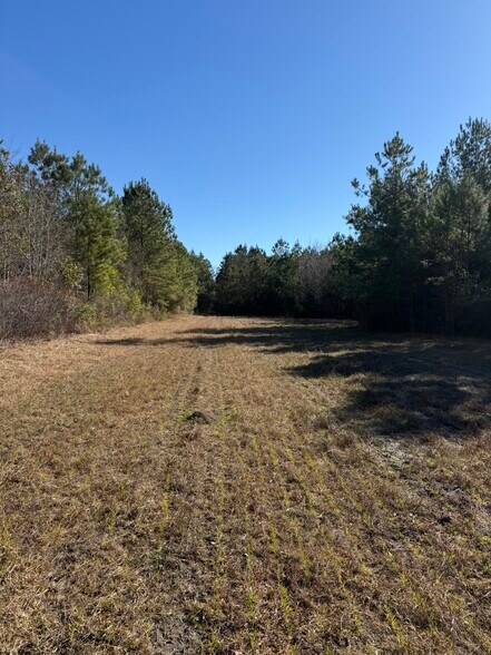 More Photos Of 0 Sniders Hwy, Walterboro Land For Sale