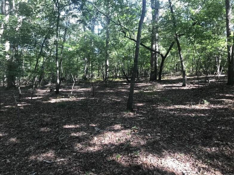 More Photos Of 1424 Shady Grove Rd, Irmo Land For Sale