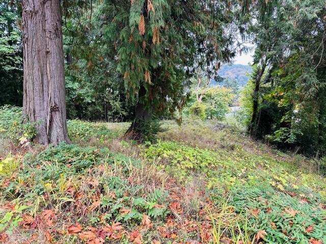More Photos Of 2 W. Sherman Heights Road, Bremerton Land For Sale