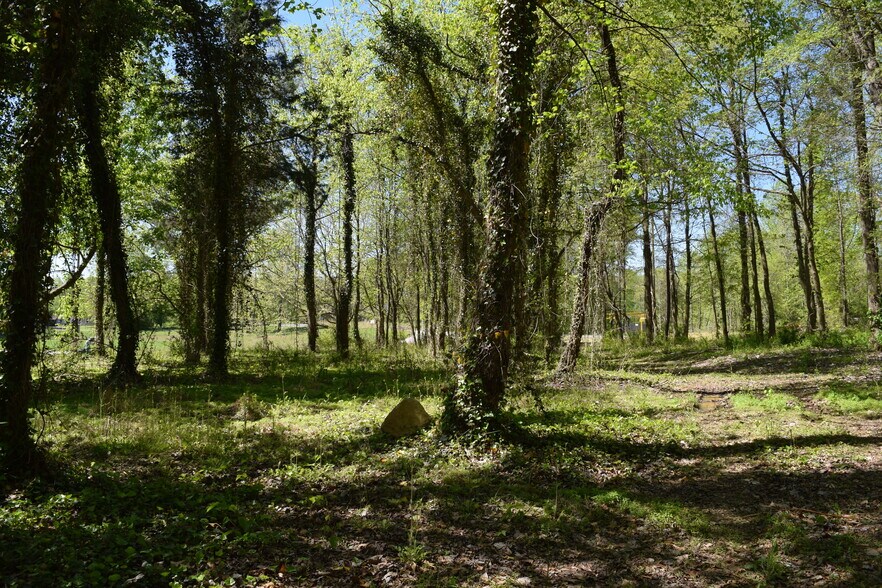 More Photos Of 1397 Armstrong Ford, Belmont Land For Sale