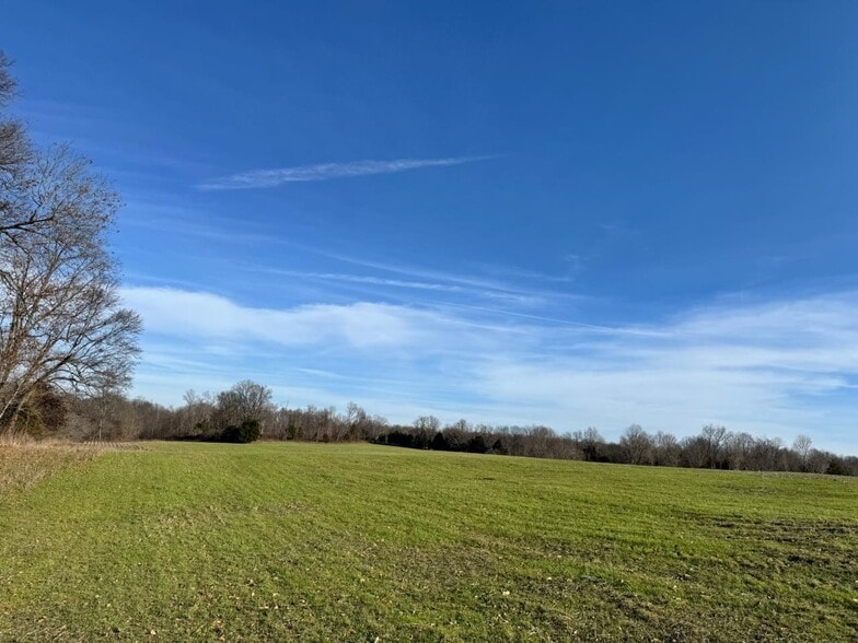 More Photos Of 1050 Stiles Ford Rd, Hodgenville Land For Sale
