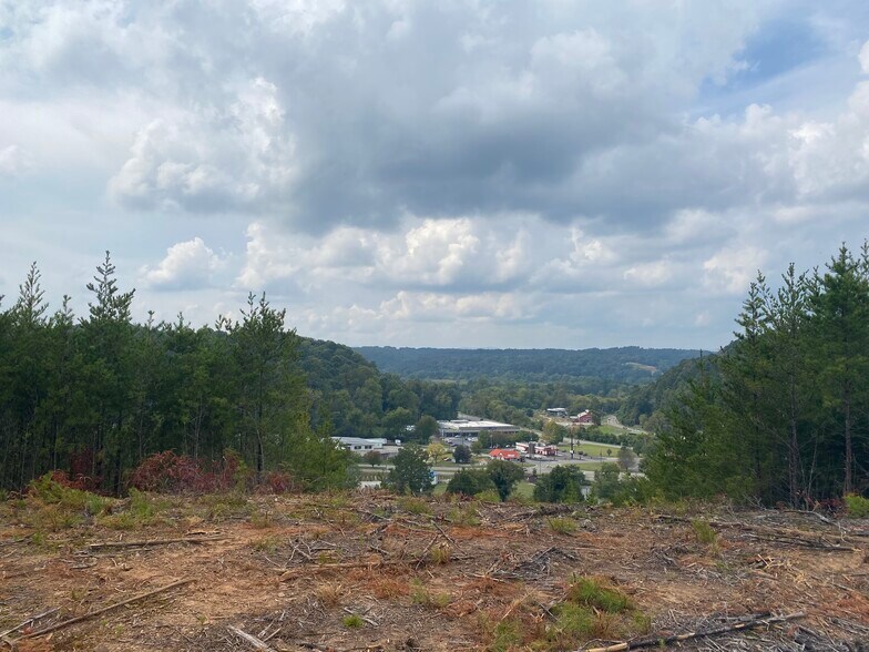 More Photos Of 8 First Ave, Ellijay Land For Sale