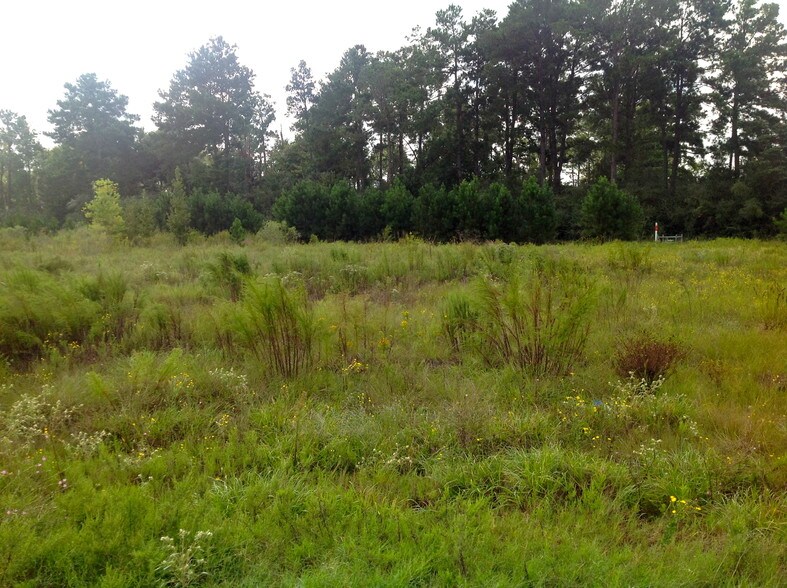 More Photos Of 23920-24210 FM 2978, Tomball Land For Sale