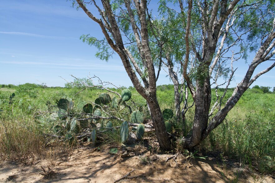 More Photos Of 00 Taylorsville Rd, Red Rock Land For Sale