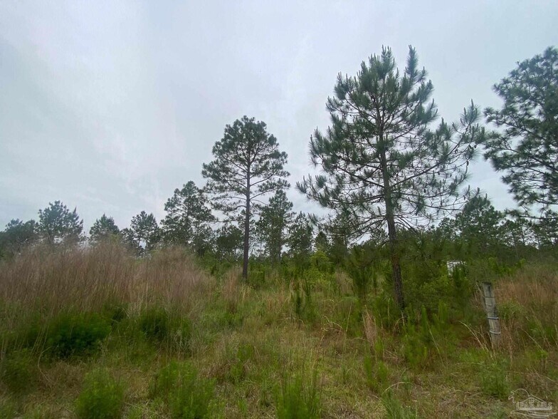 More Photos Of Walther Rd, Milton Land For Sale