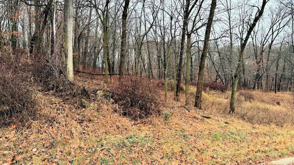 More Photos Of Lots 1-2 County A rd, Wisconsin Dells Land For Sale