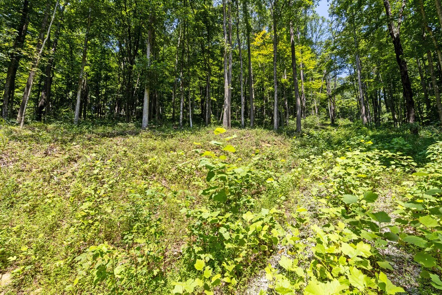 More Photos Of 24272 CONRAD Rd, Laurelville Land For Sale