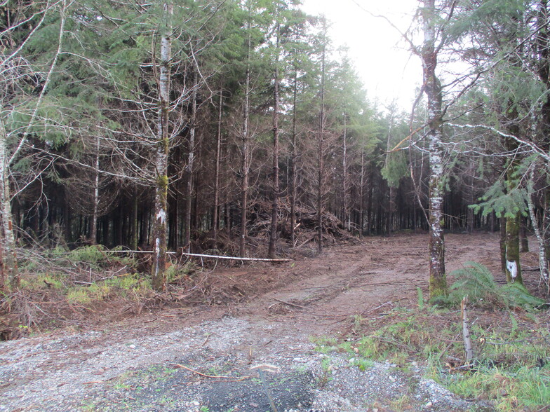 Primary Photo Of 7 Beaver Hill S ln, Montesano Land For Sale