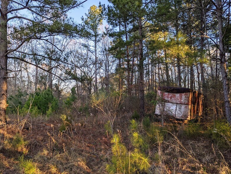 More Photos Of Highway 280 & Highway, Abbeville Land For Sale