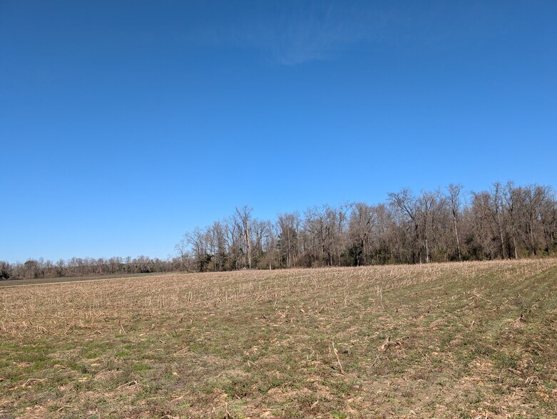 More Photos Of 000 Cedar Fork Road, Beulaville Land For Sale