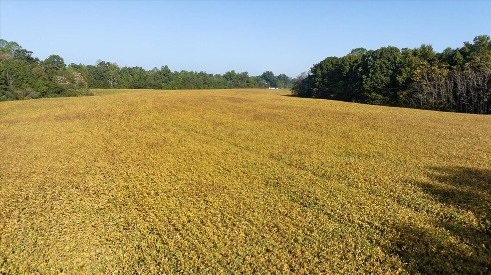 More Photos Of 667 Hustle Rd, Hustle Winery Vineyard For Sale