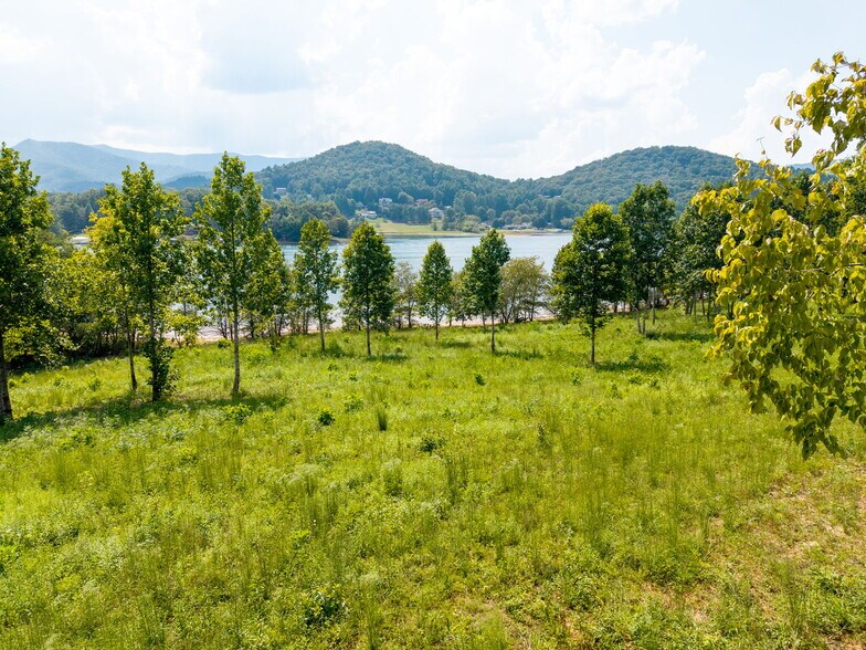 More Photos Of 314 Lakeside dr, Hiawassee Land For Sale
