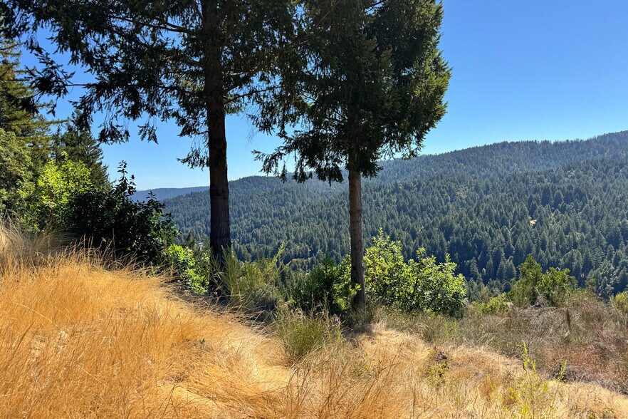 More Photos Of 1200 Roberts Rd, Ben Lomond Land For Sale