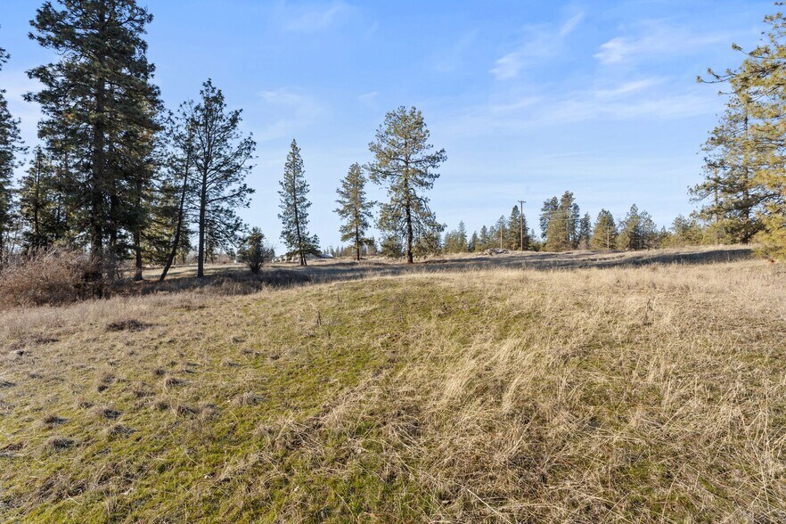 More Photos Of 233 Alki St, Cheney Land For Sale