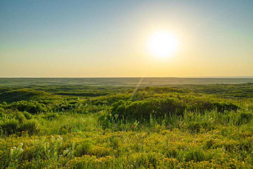 Primary Photo Of Reynolds Ranch Road, Pampa Land For Sale