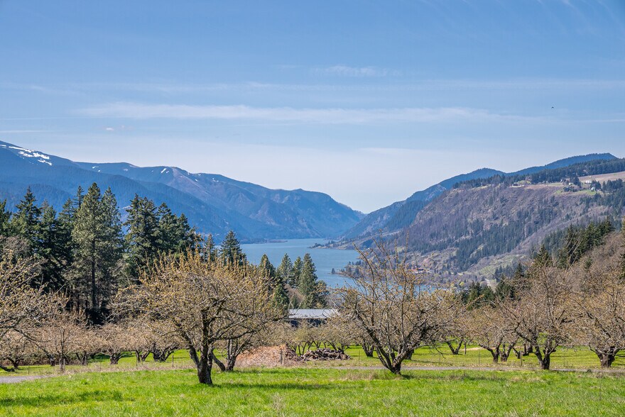 Primary Photo Of SW Cherry Blossom Lane @ Eyrie, White Salmon Land For Sale