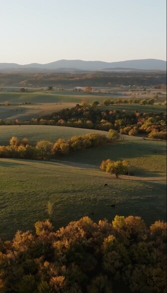 More Photos Of 1329 Commerce Rd, Staunton Hotel For Sale