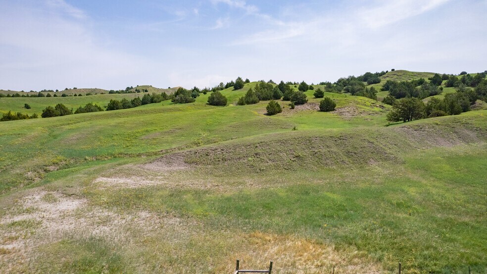 More Photos Of 21627 Hardingrove Rd, Milesville Land For Sale