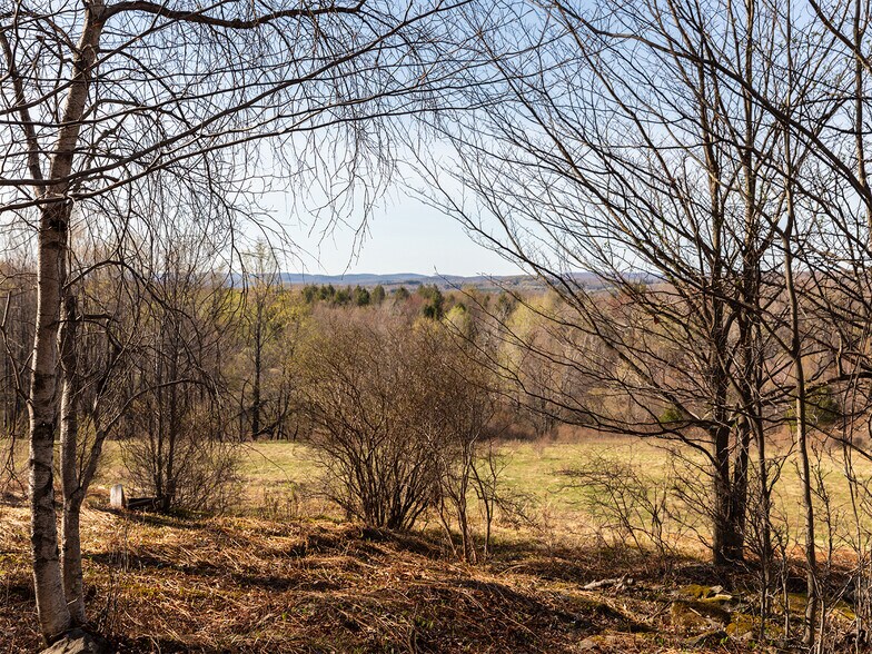 More Photos Of 1 Snow Hill Rd, Parksville Land For Sale