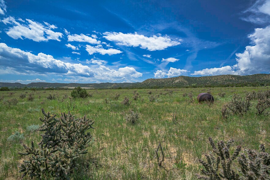 More Photos Of TBD County Road 71.1, Trinidad Land For Sale