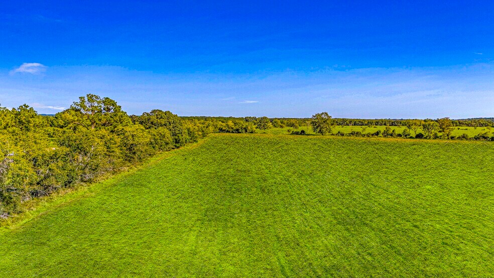 More Photos Of TBD FM 350 S TBD FM 350 S, Livingston Land For Sale