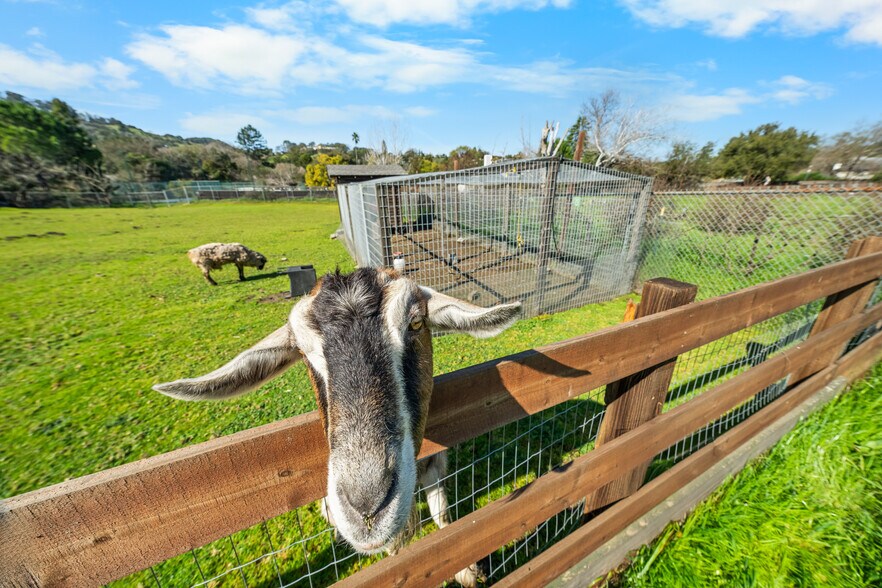 More Photos Of 8 Circle Rd, San Rafael Rehabilitation Center For Sale