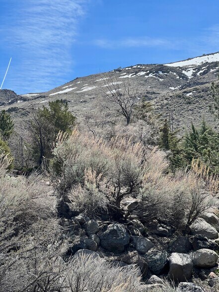 More Photos Of 4387 Sharps Rd, Reno Land For Sale