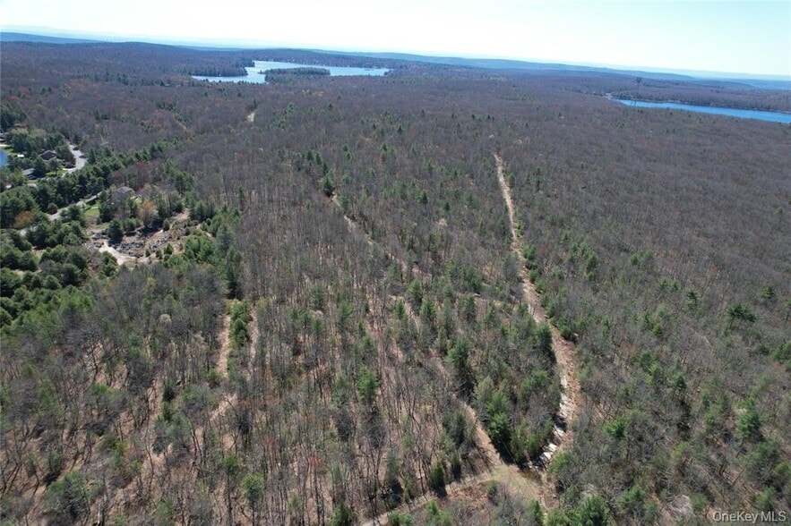 More Photos Of TBD Old Sackett Lake Rd, Rock Hill Land For Sale