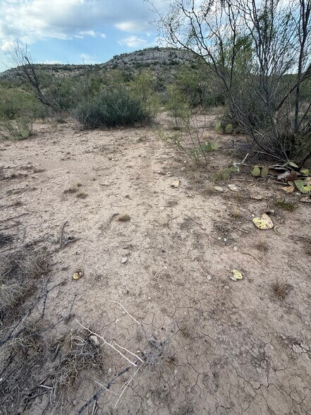 More Photos Of 0100 Cactus Rose Ln, Ozona Land For Sale
