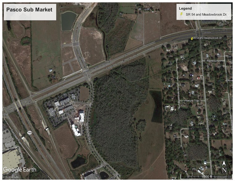 More Photos Of SWC S R 54 & Meadowbrook Dr, Lutz Land For Lease