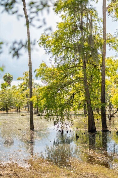 More Photos Of SW Addison #A ave, Arcadia Land For Sale