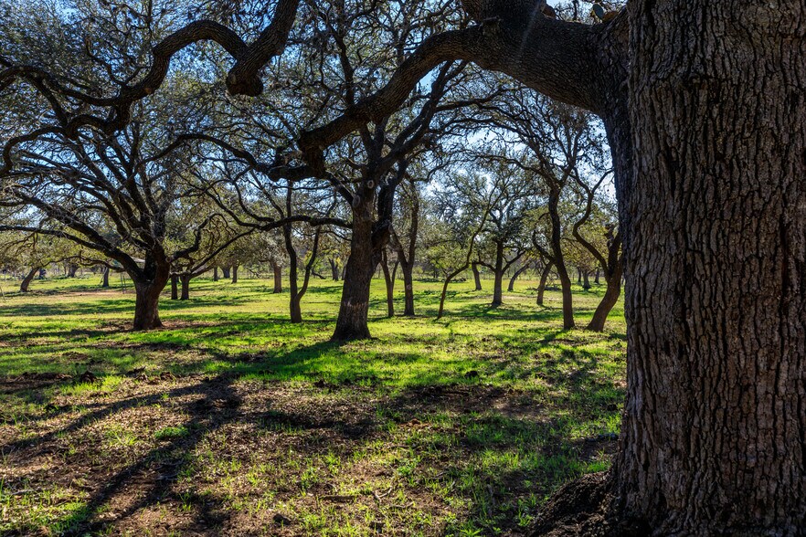 More Photos Of 308 Oakhaven Ln, Fredericksburg Land For Sale