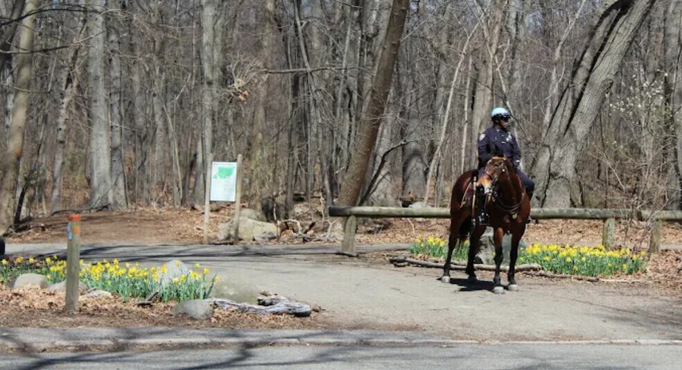 More Photos Of 11882 Metropolitan Ave, Kew Gardens Healthcare For Lease