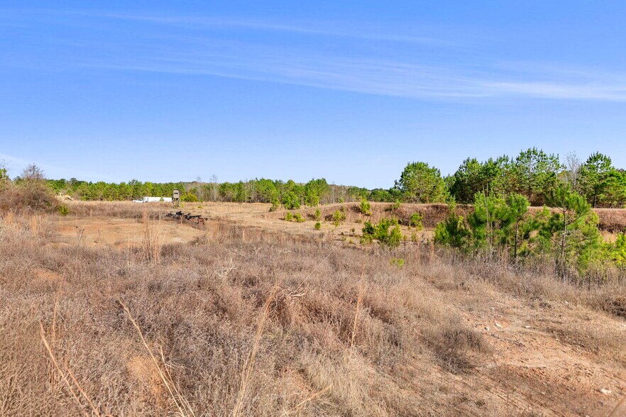 More Photos Of 16.31+/- AC Franklin Parkway Franklin GA 30217, Franklin Land For Sale