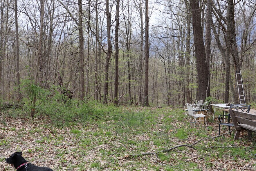 More Photos Of 330 Plutarch Rd, Highland Land For Sale