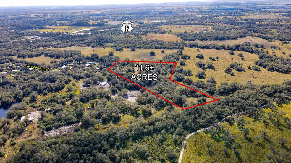 More Photos Of 3128 SW Boll Weevil Rd, Arcadia Land For Sale