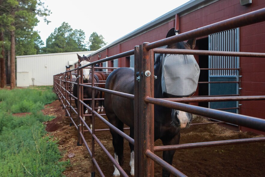 More Photos Of 2600 W Kiltie Ln, Flagstaff Horse Stables For Sale