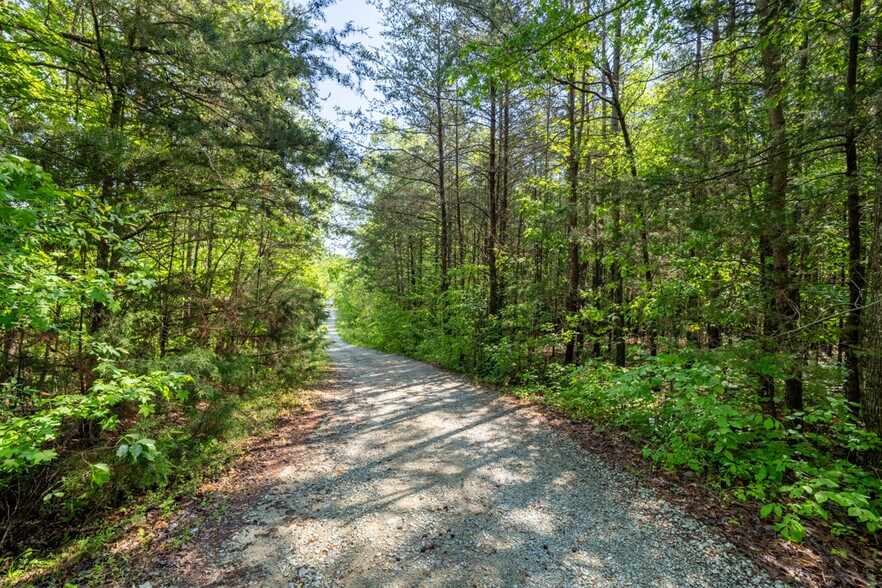 More Photos Of 479 Mudlee Dr, Hurdle Mills Land For Sale