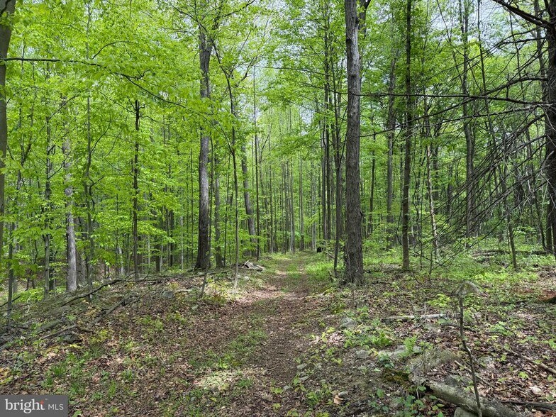 More Photos Of 230 Grandview Dr, Hyndman Land For Sale