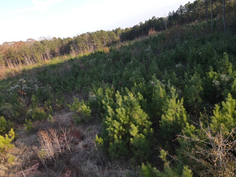 More Photos Of Sc-56 Hwy, Clinton Land For Sale