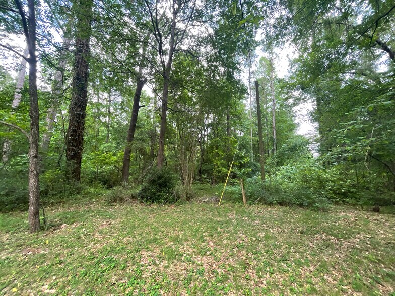 More Photos Of 6378 Browns Mill, Stonecrest Land For Sale