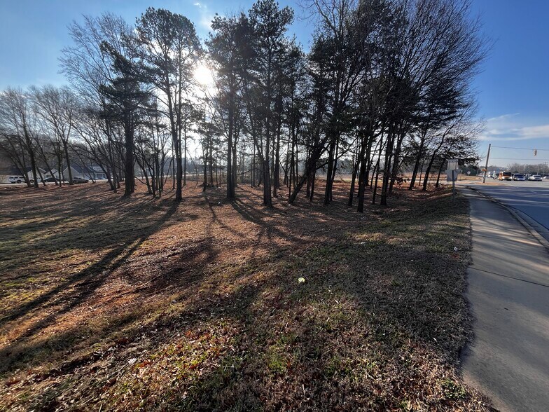 More Photos Of 8698 White Horse Rd, Greenville Land For Lease