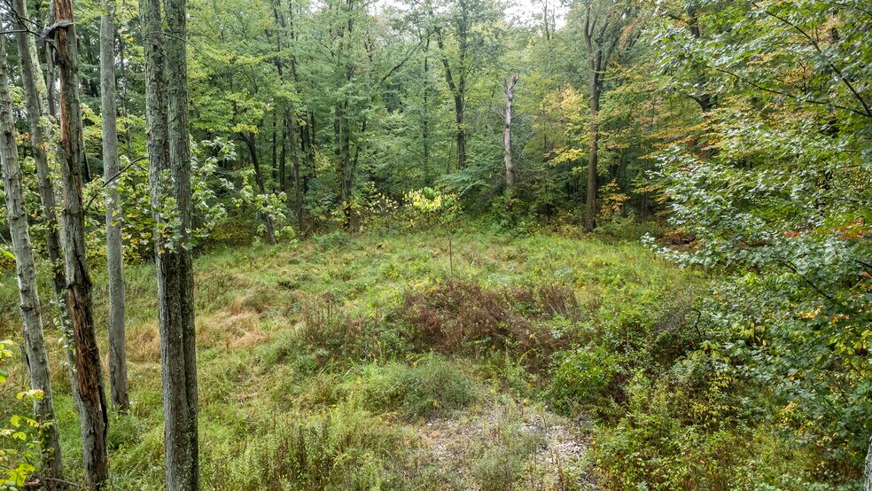 More Photos Of 5001 Babbitt Rd, New Albany Land For Sale