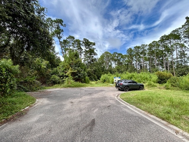 More Photos Of 97124 Elk Creek ct, Fernandina Beach Land For Sale