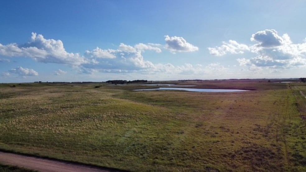 Primary Photo Of 440th Ave, Eden Land For Sale