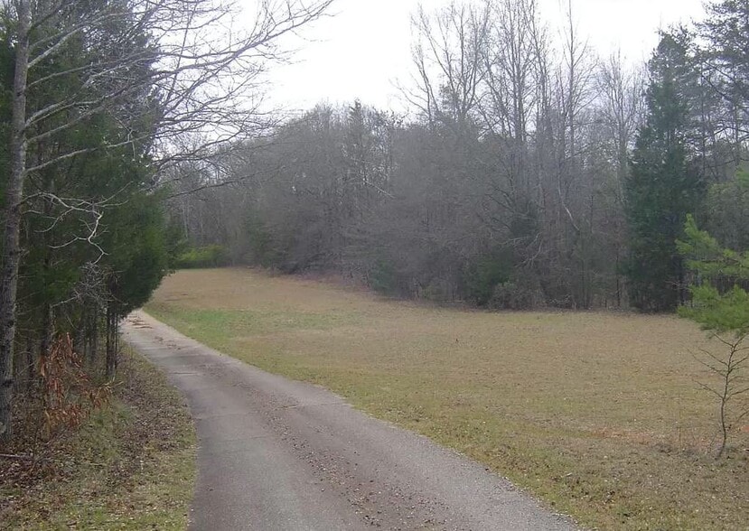 More Photos Of 1111 Fork Shoals Rd, Greenville Land For Sale