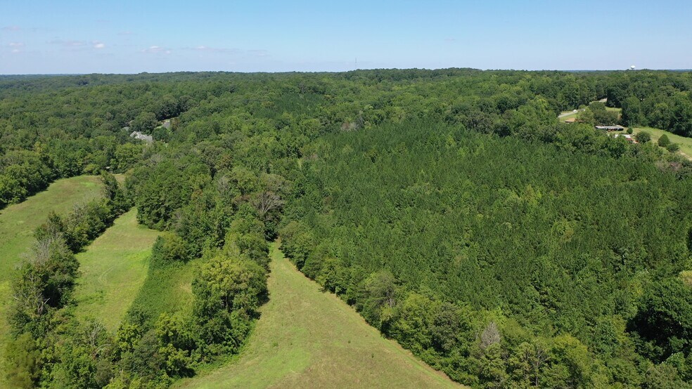 More Photos Of 4303 Davidson, Davidson Land For Sale