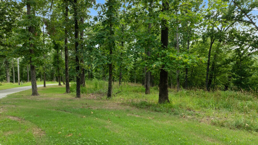 More Photos Of Esculapia Hollow Rd, Rogers Land For Sale