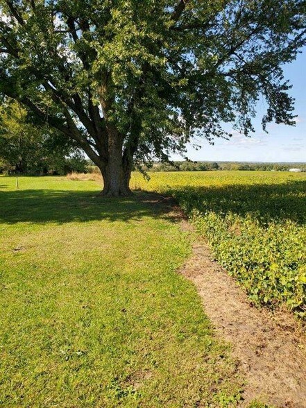 More Photos Of 18625 158th St, Basehor Land For Sale